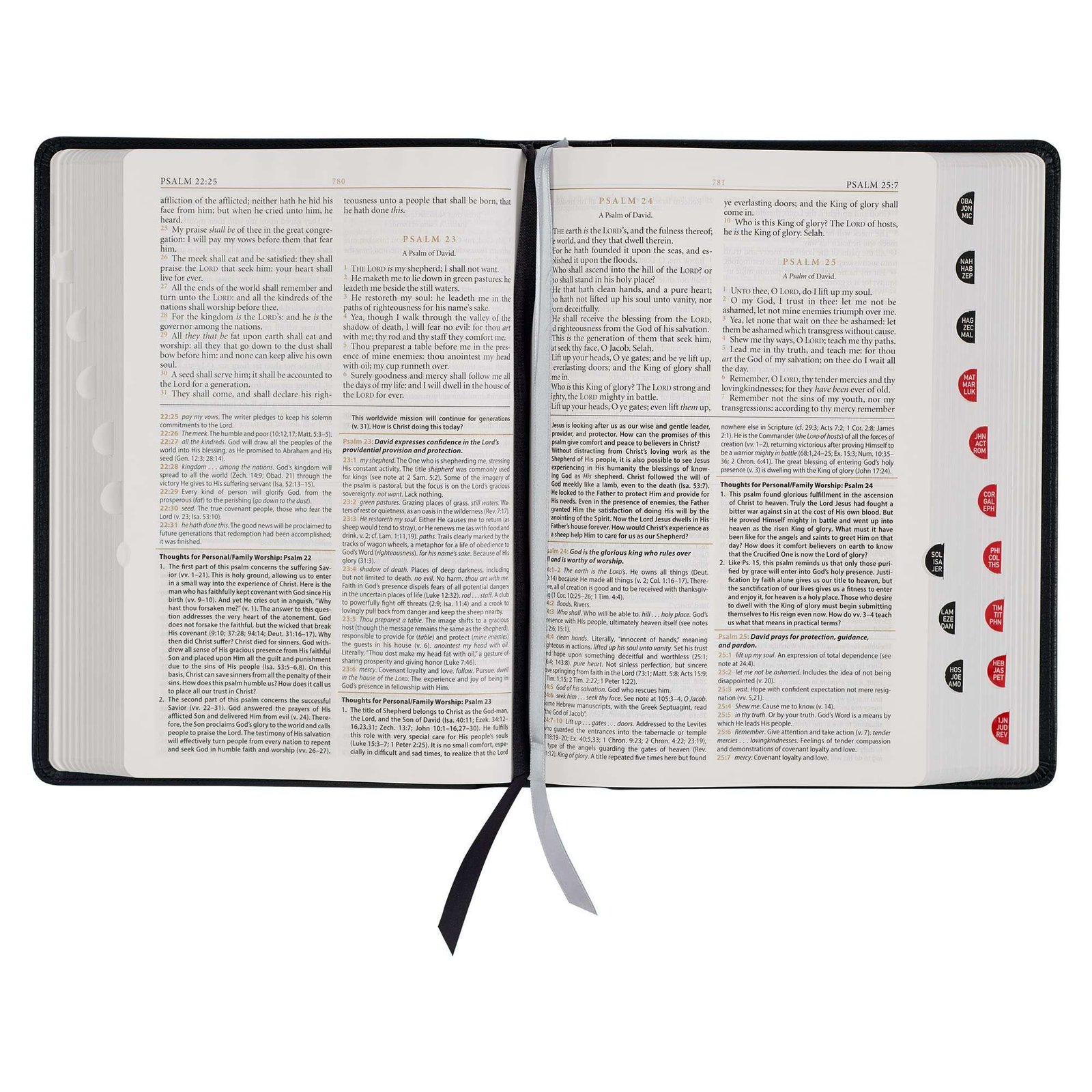 The Reformation Heritage KJV Study Bible - Large Print Leather-Like (Black)